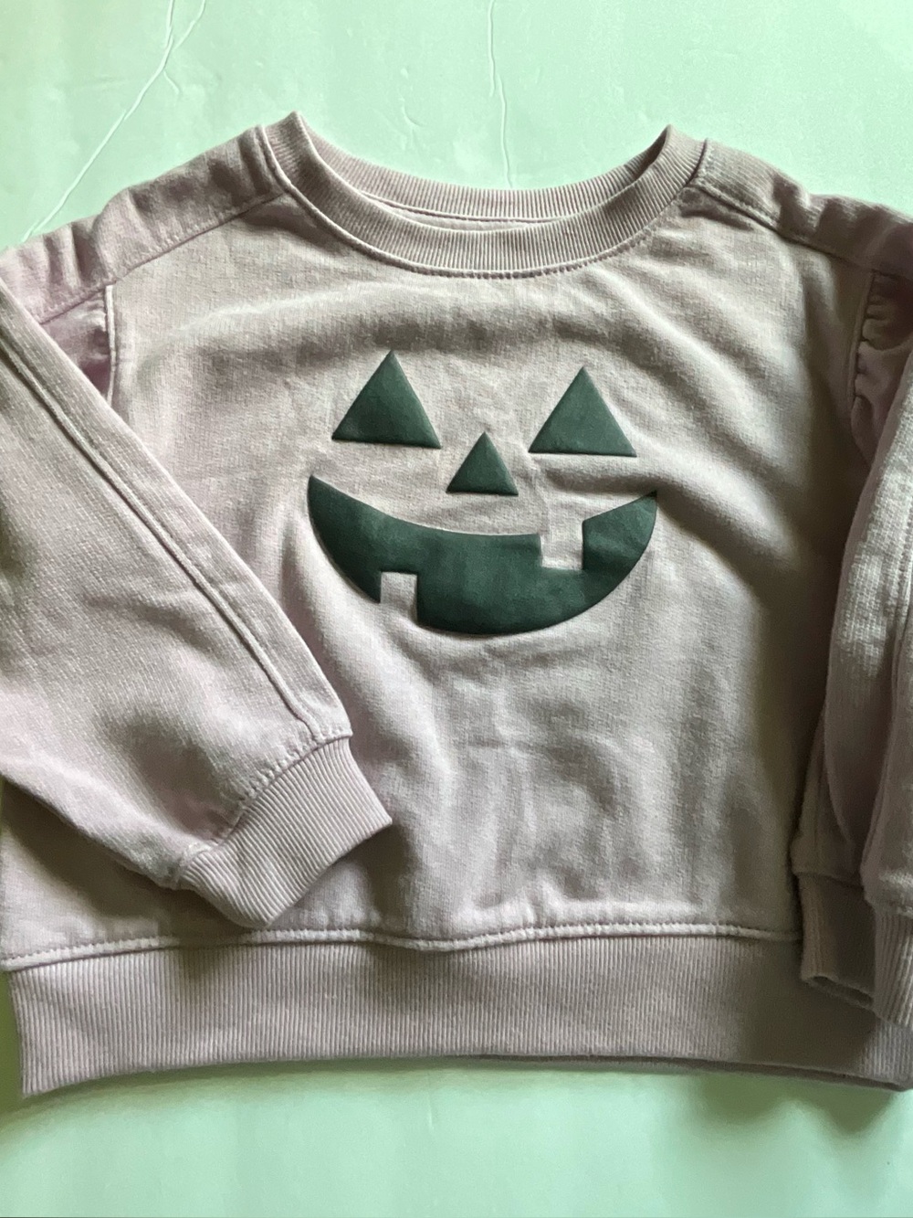 Cat & Jack Mauve Pink Sweatshirt with Dark Green Pumpkin Graphic